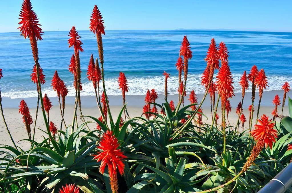 Ocean Palms Beach Resort Carlsbad Dış mekan fotoğraf